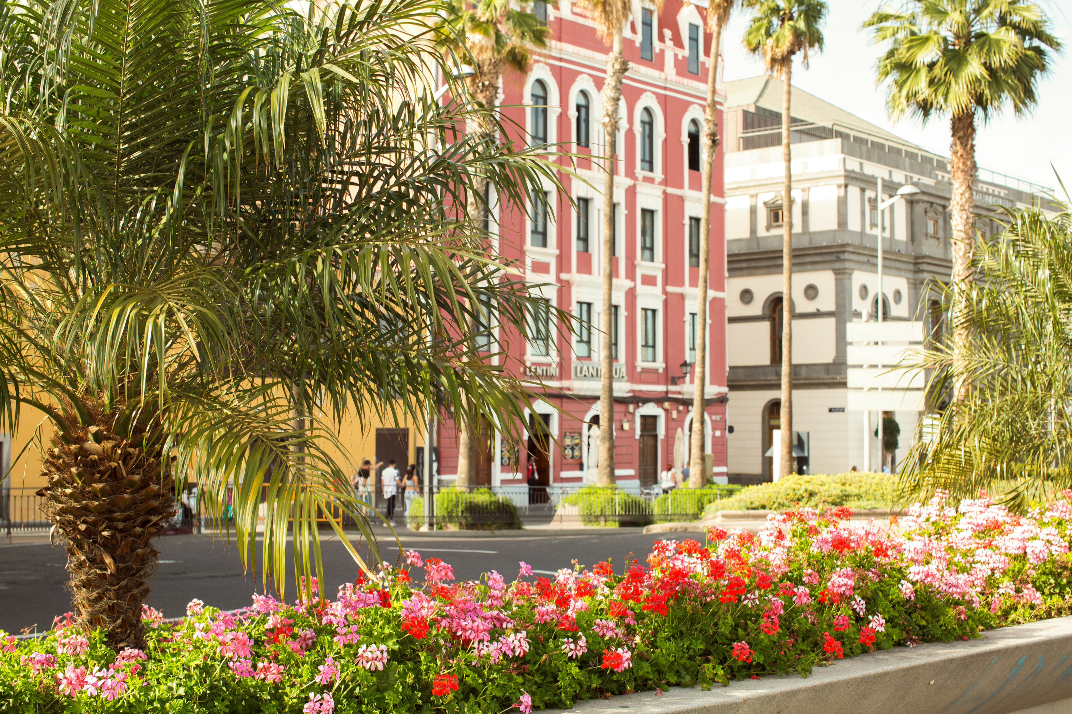 Las Palmas