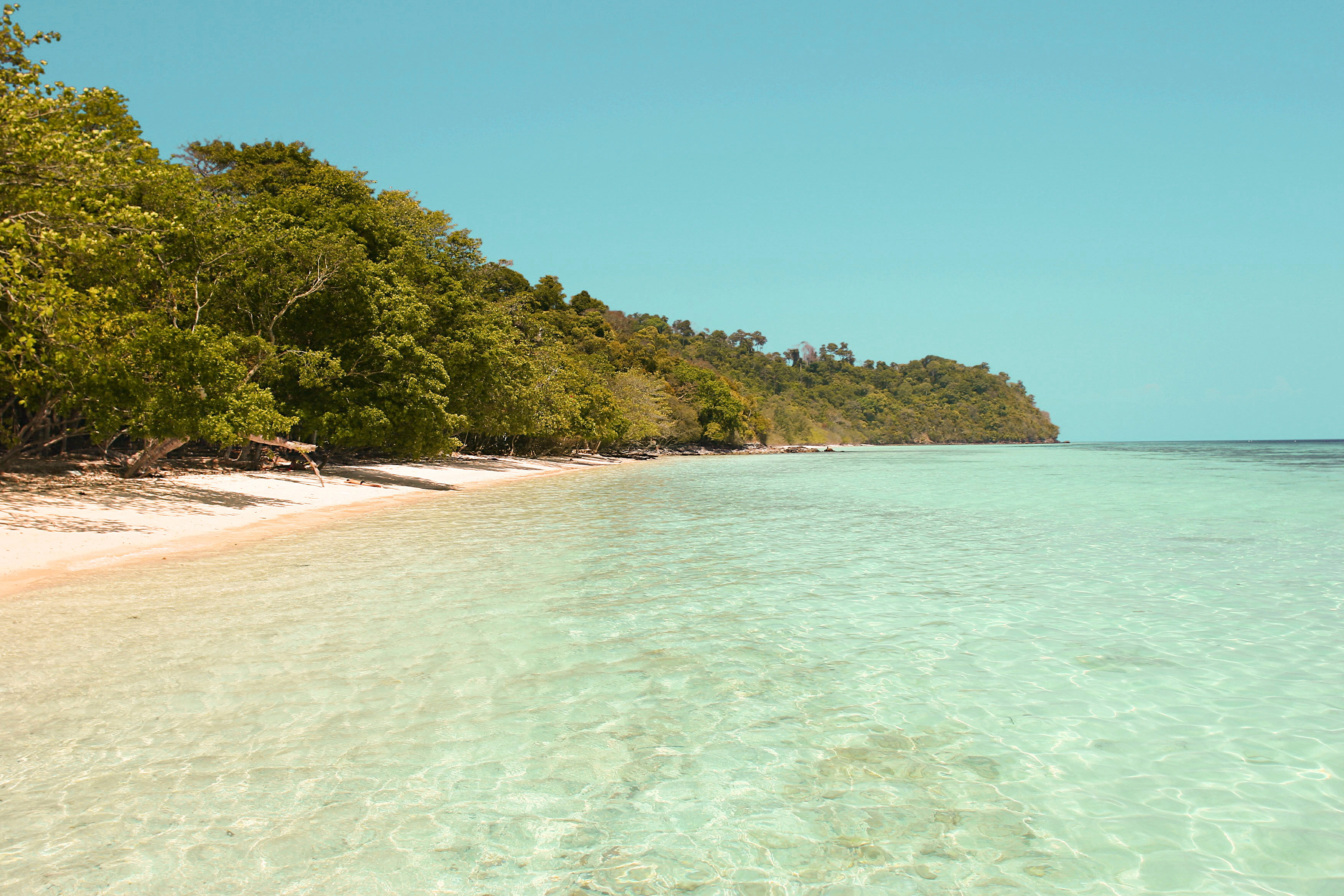 Koh Lantalta järjestetään veneretkiä Koh Rokille