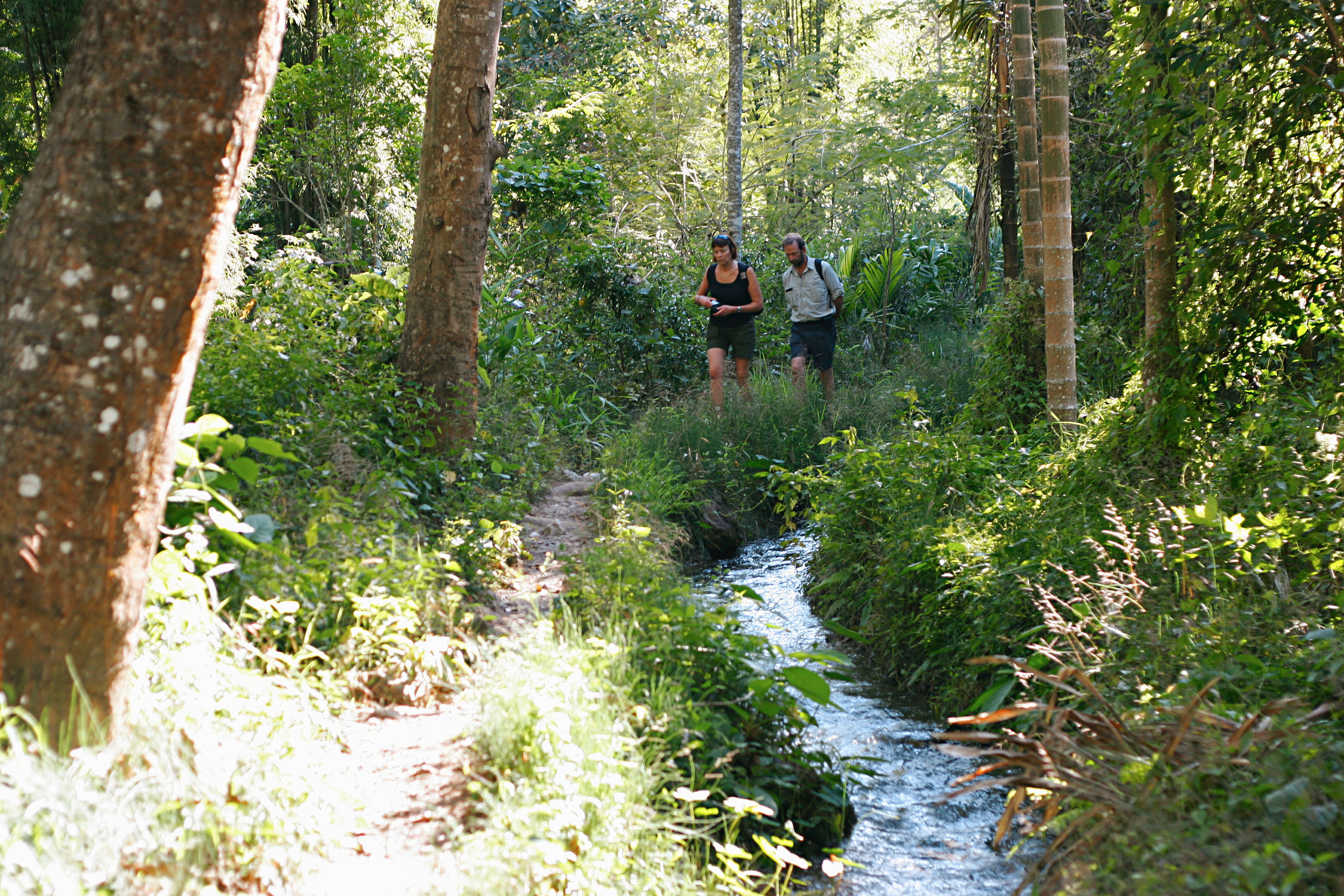 Vaellusretki Chiang Maissa