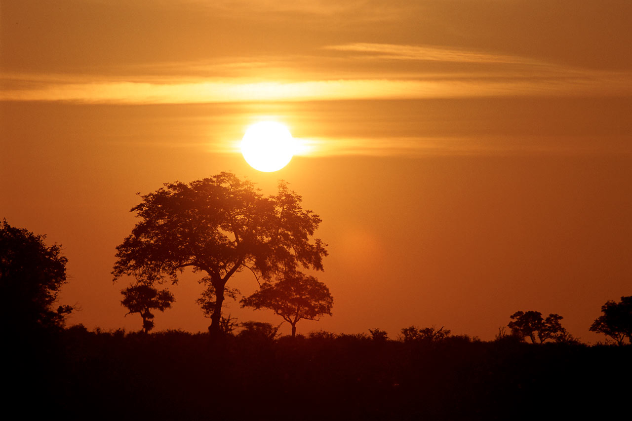 Krugerin luonnonpuisto