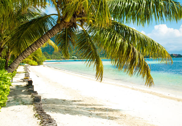 Indian Ocean Lodge