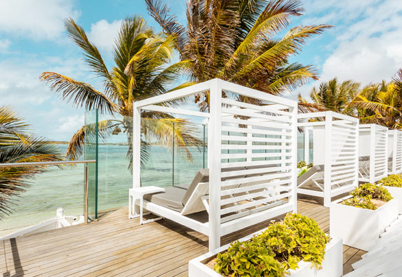 Tropical Attitude