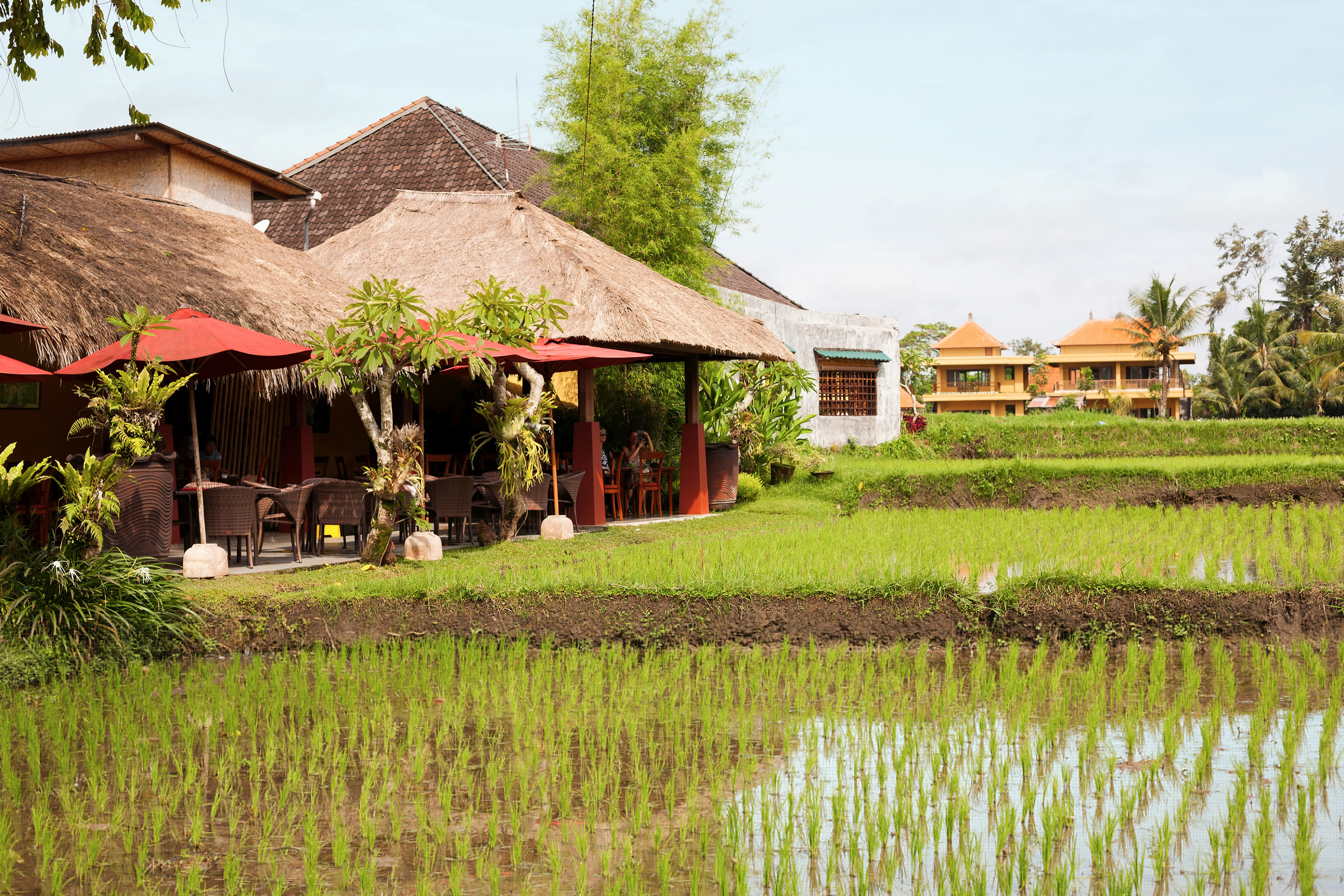 Ubud, Bali