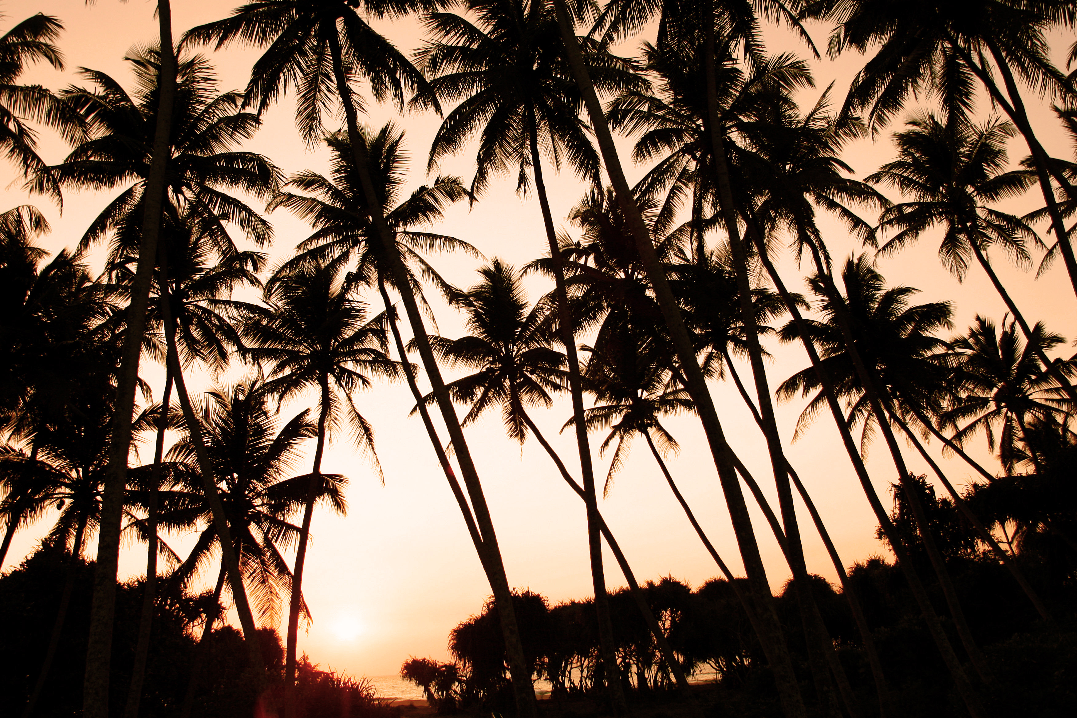 Bentota, Sri Lanka