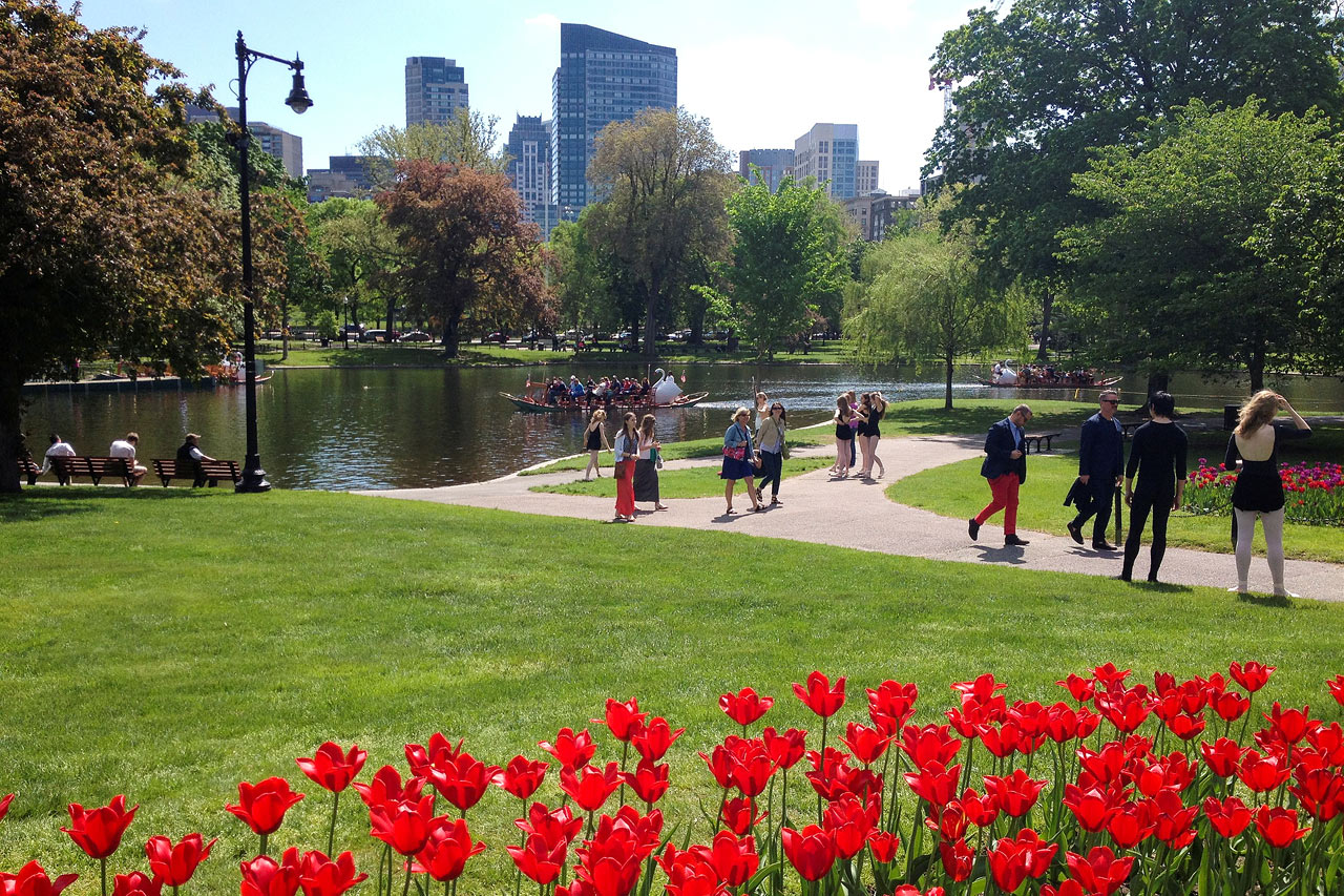 Boston Common