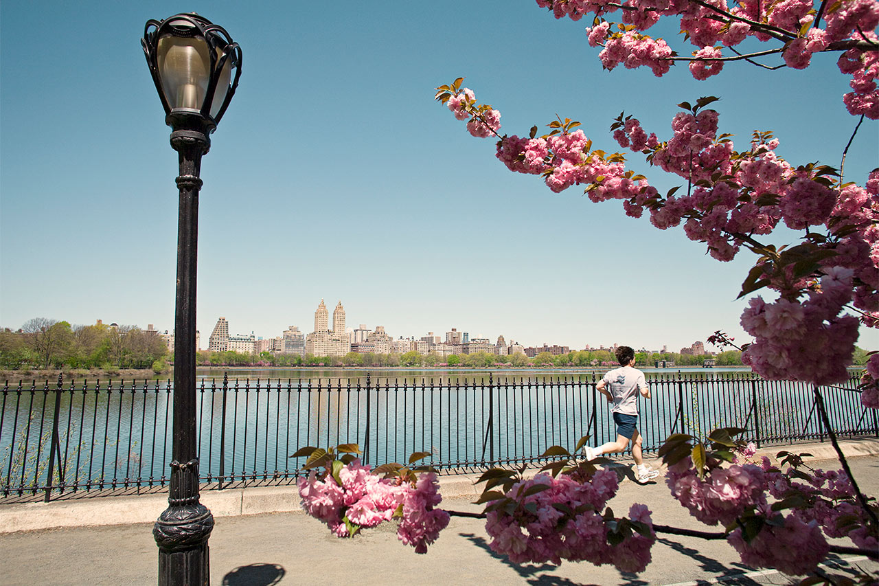 Jacqueline Kennedy Onassis Reservoir, Keskuspuisto