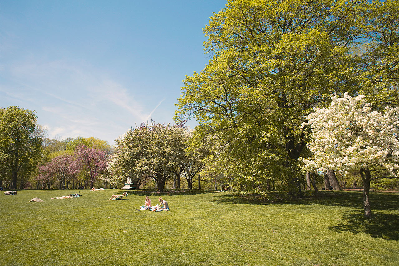 Central Park - Keskuspuisto