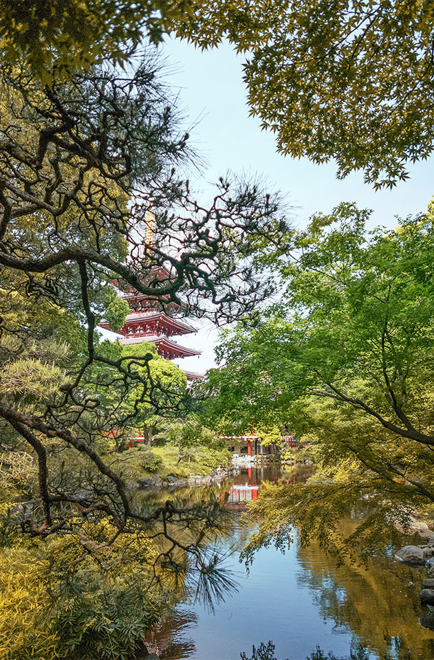 Denbo-in Teien Garden